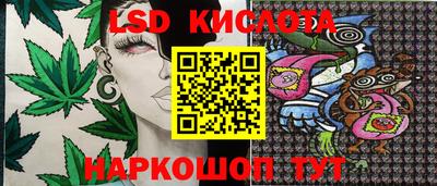 a pvp Бердск