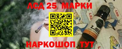 a pvp Бердск