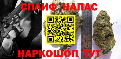 a pvp Бердск