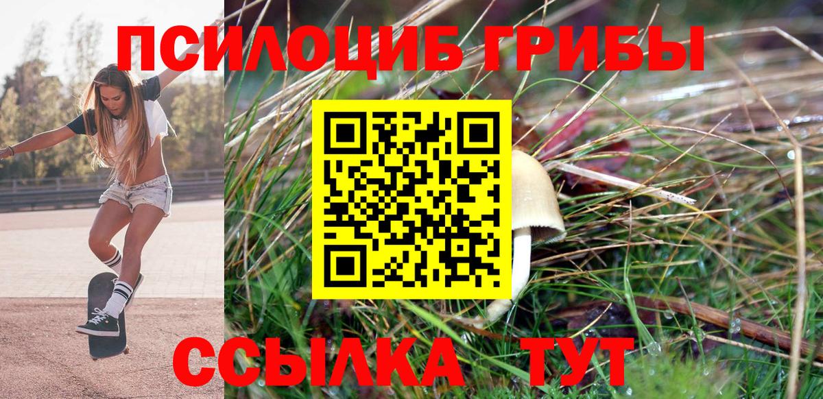 Псилоцибиновые грибы MAGIC MUSHROOMS Киреевск